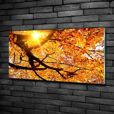 Wall art on glass Crown of trees autumn