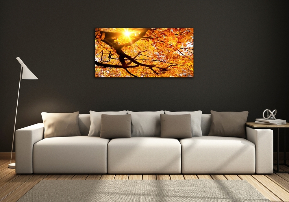 Wall art on glass Crown of trees autumn