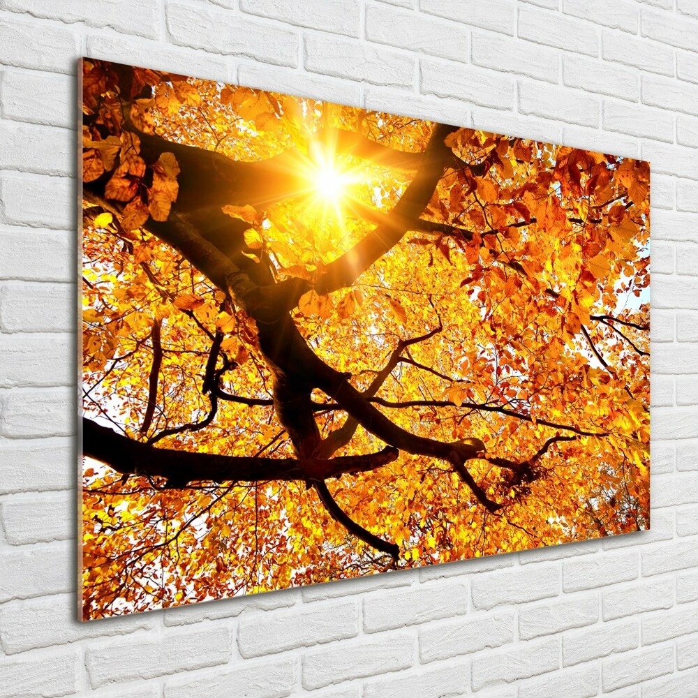 Wall art on glass Crown of trees autumn