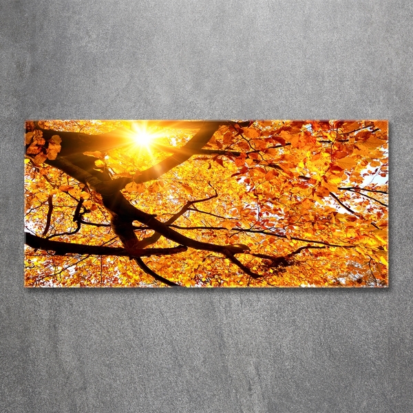 Wall art on glass Crown of trees autumn