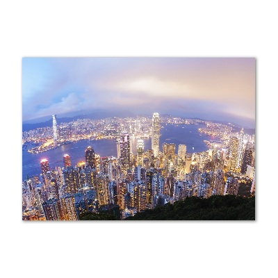 Photo printed on glass Hong kong panorama