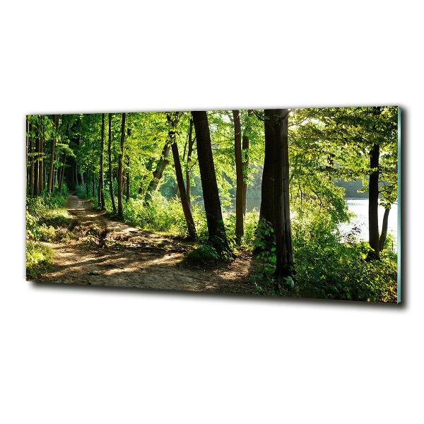 Wall art on glass Path in the meadow