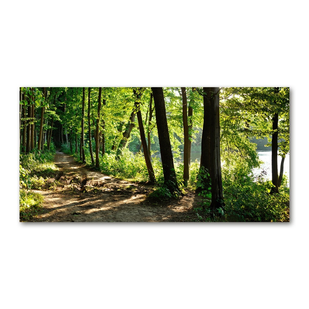 Wall art on glass Path in the meadow