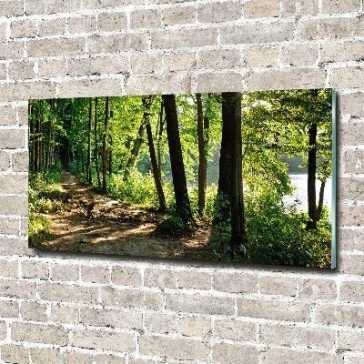 Wall art on glass Path in the meadow