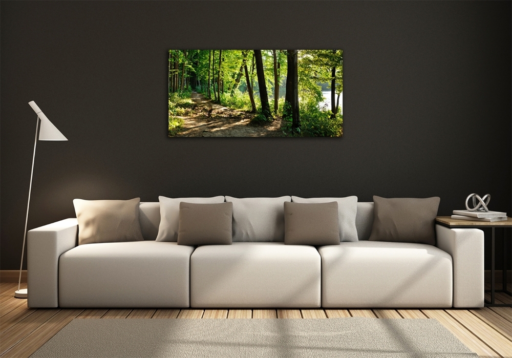 Wall art on glass Path in the meadow