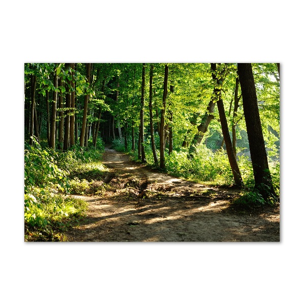 Wall art on glass Path in the meadow