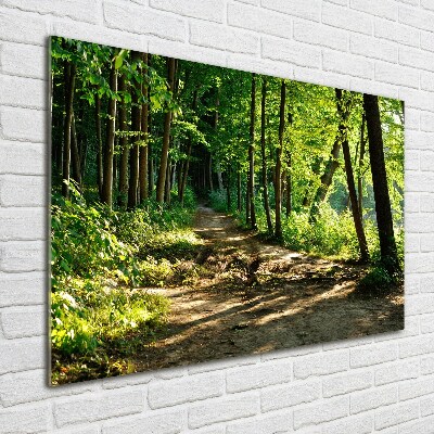 Wall art on glass Path in the meadow