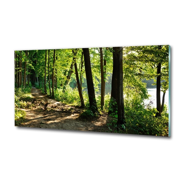 Wall art on glass Path in the meadow