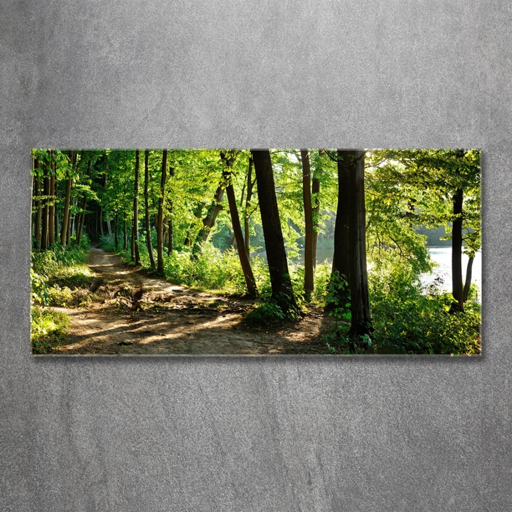 Wall art on glass Path in the meadow