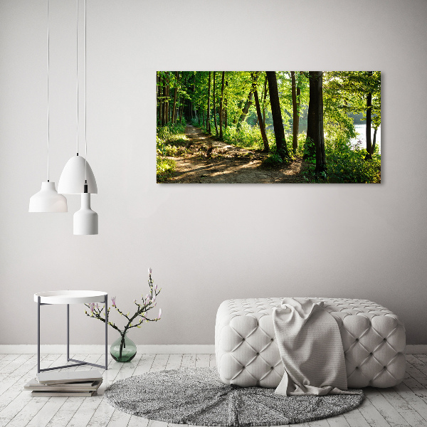 Wall art on glass Path in the meadow