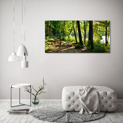 Wall art on glass Path in the meadow