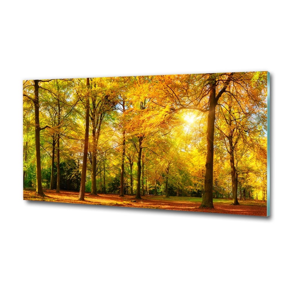 Glass wall art Forest in autumn