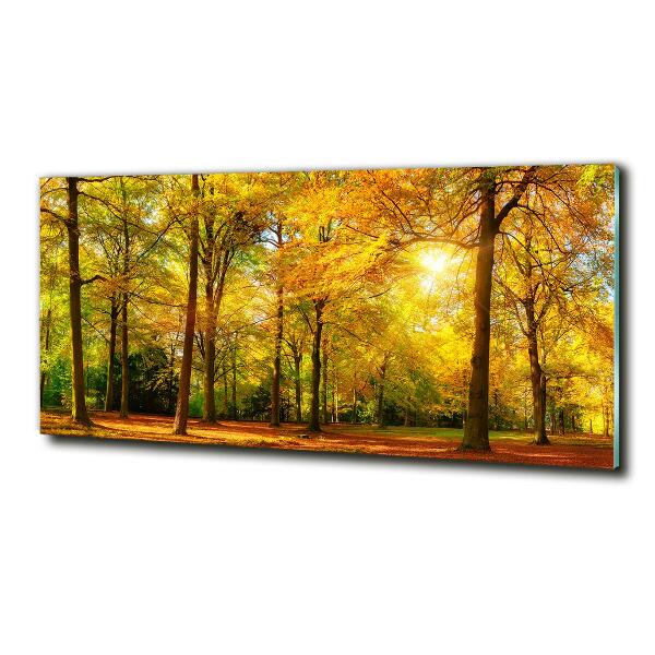 Glass wall art Forest in autumn