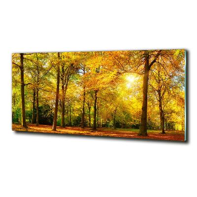 Glass wall art Forest in autumn