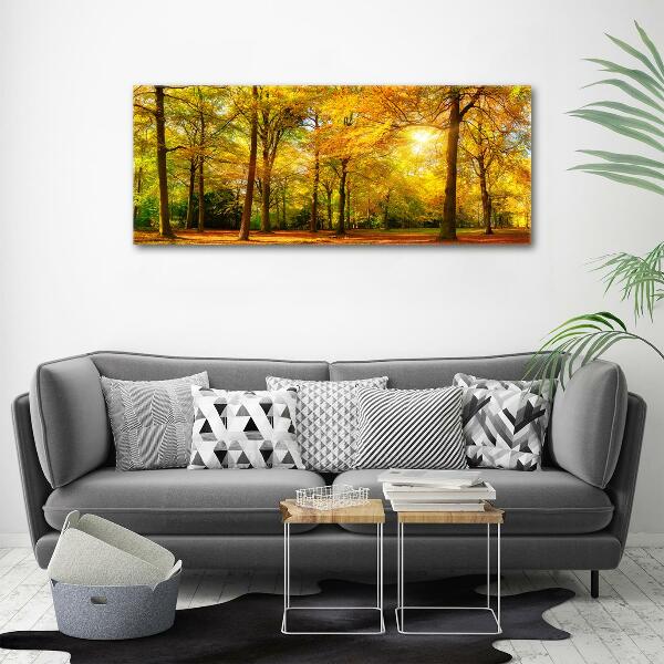 Glass wall art Forest in autumn