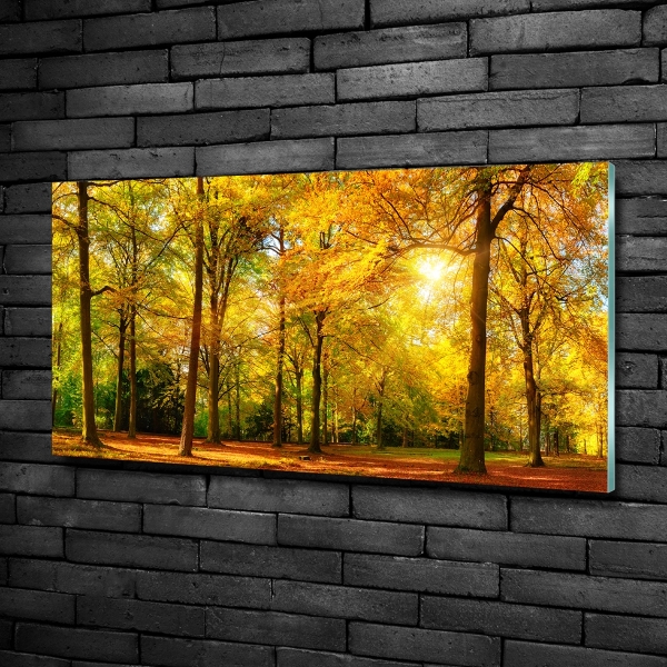 Glass wall art Forest in autumn