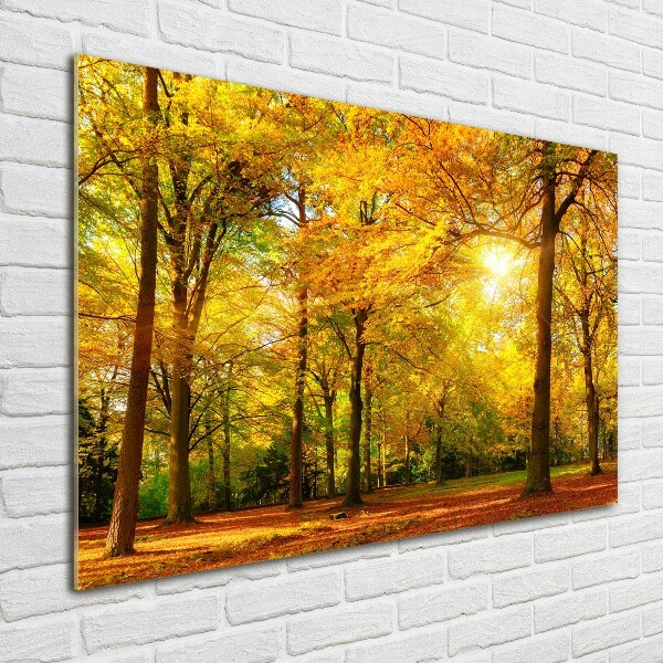 Glass wall art Forest in autumn