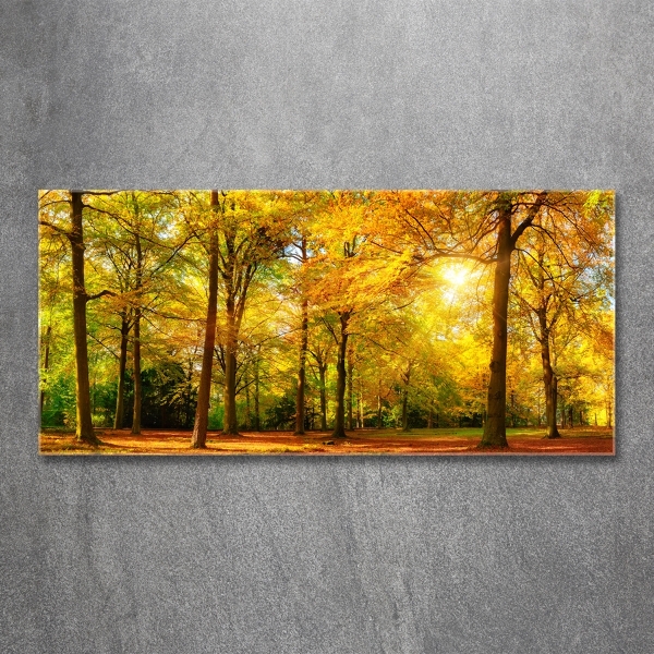 Glass wall art Forest in autumn