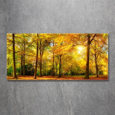 Glass wall art Forest in autumn