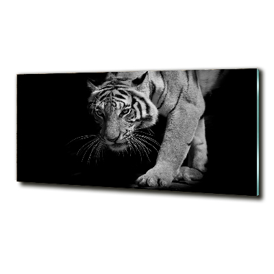 Glass wall art Tiger