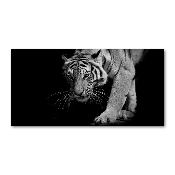 Glass wall art Tiger