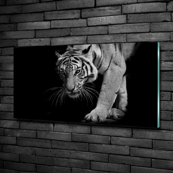 Glass wall art Tiger