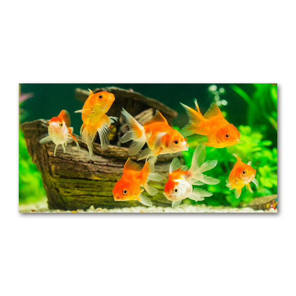 Glass wall art Golden fish