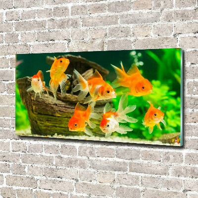 Glass wall art Golden fish