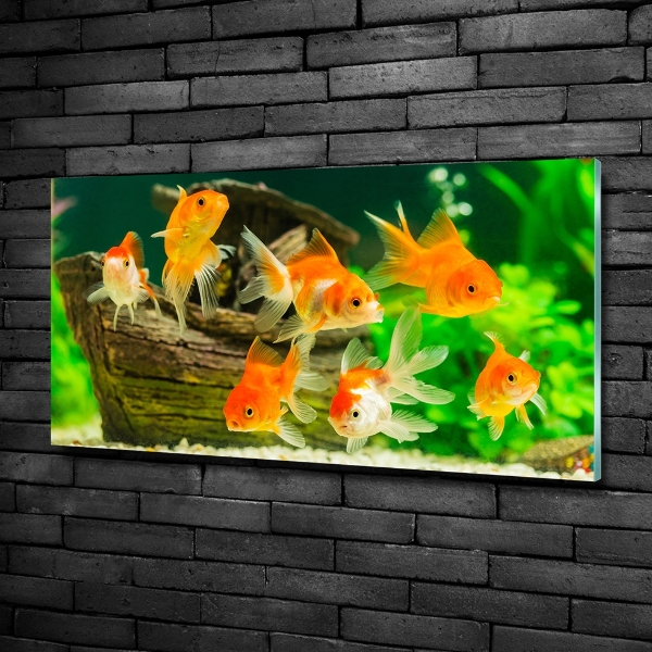 Glass wall art Golden fish