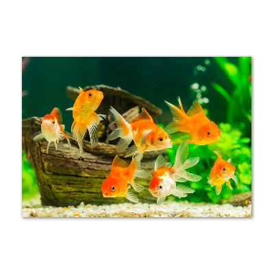 Glass wall art Golden fish