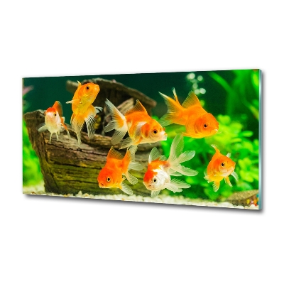 Glass wall art Golden fish