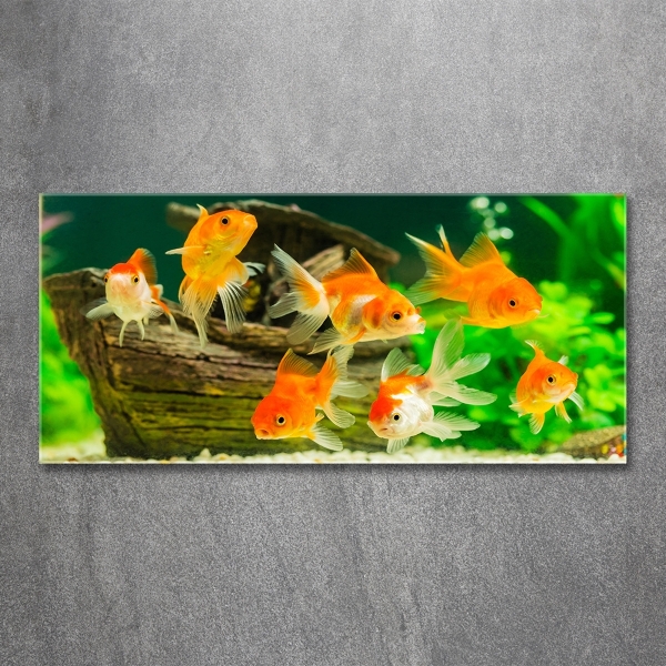 Glass wall art Golden fish