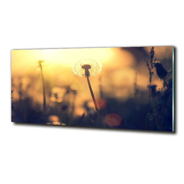 Glass wall art Dandelion