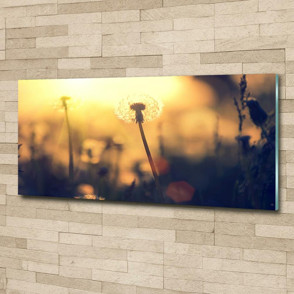 Glass wall art Dandelion