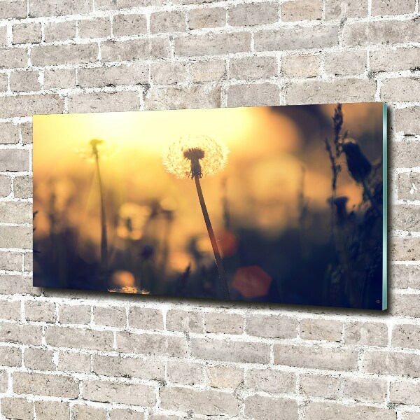 Glass wall art Dandelion