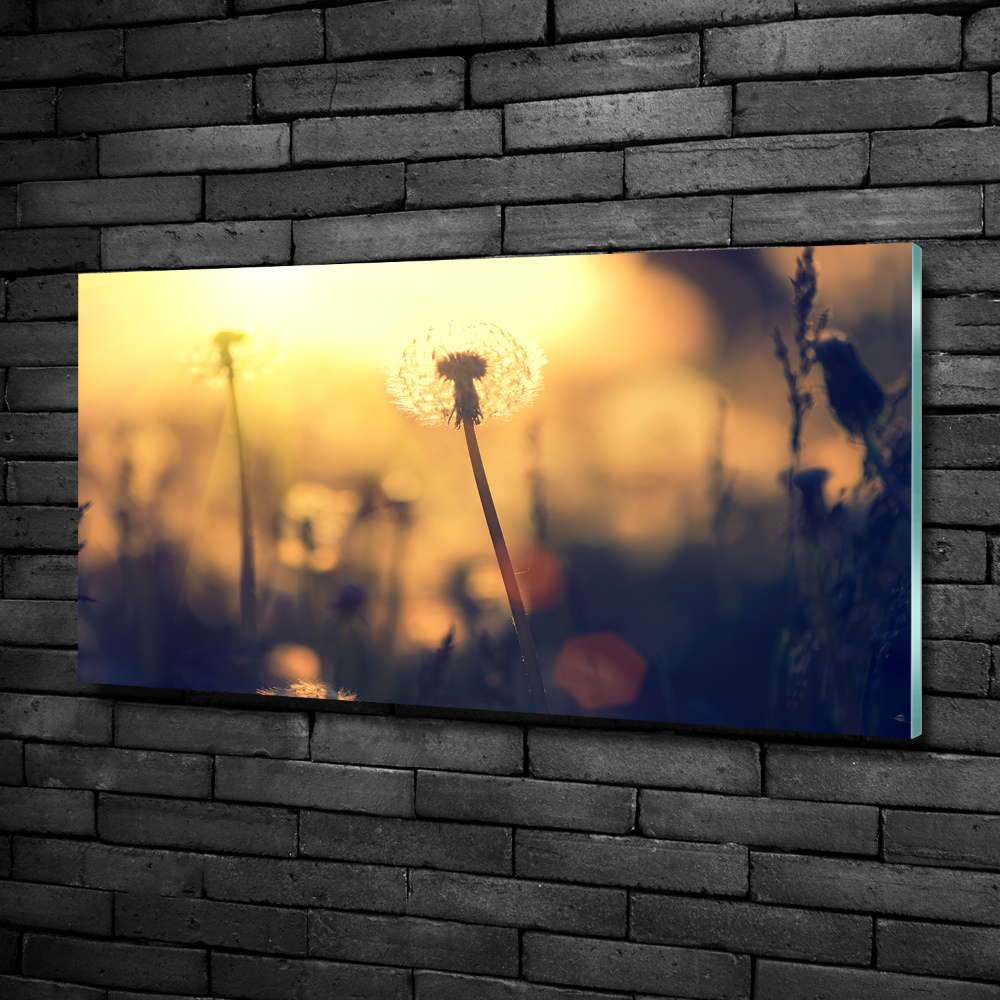 Glass wall art Dandelion