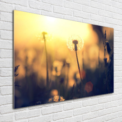 Glass wall art Dandelion