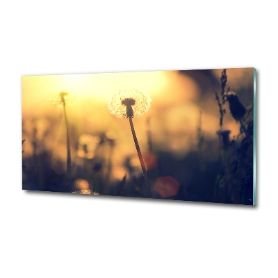 Glass wall art Dandelion