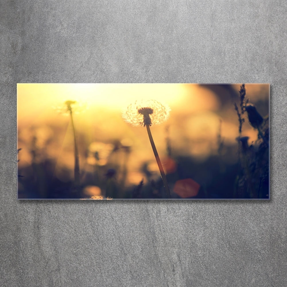 Glass wall art Dandelion