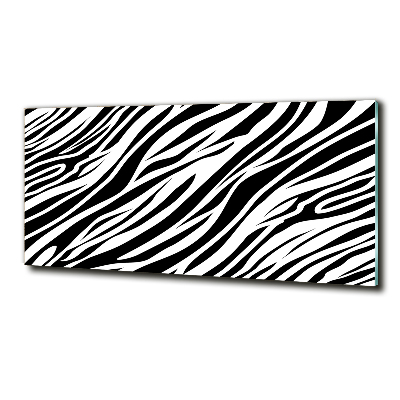 Wall art on glass Zebra background