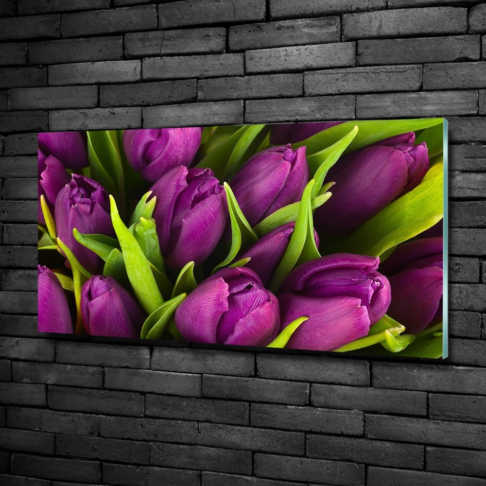 Wall art on glass Violet tulips