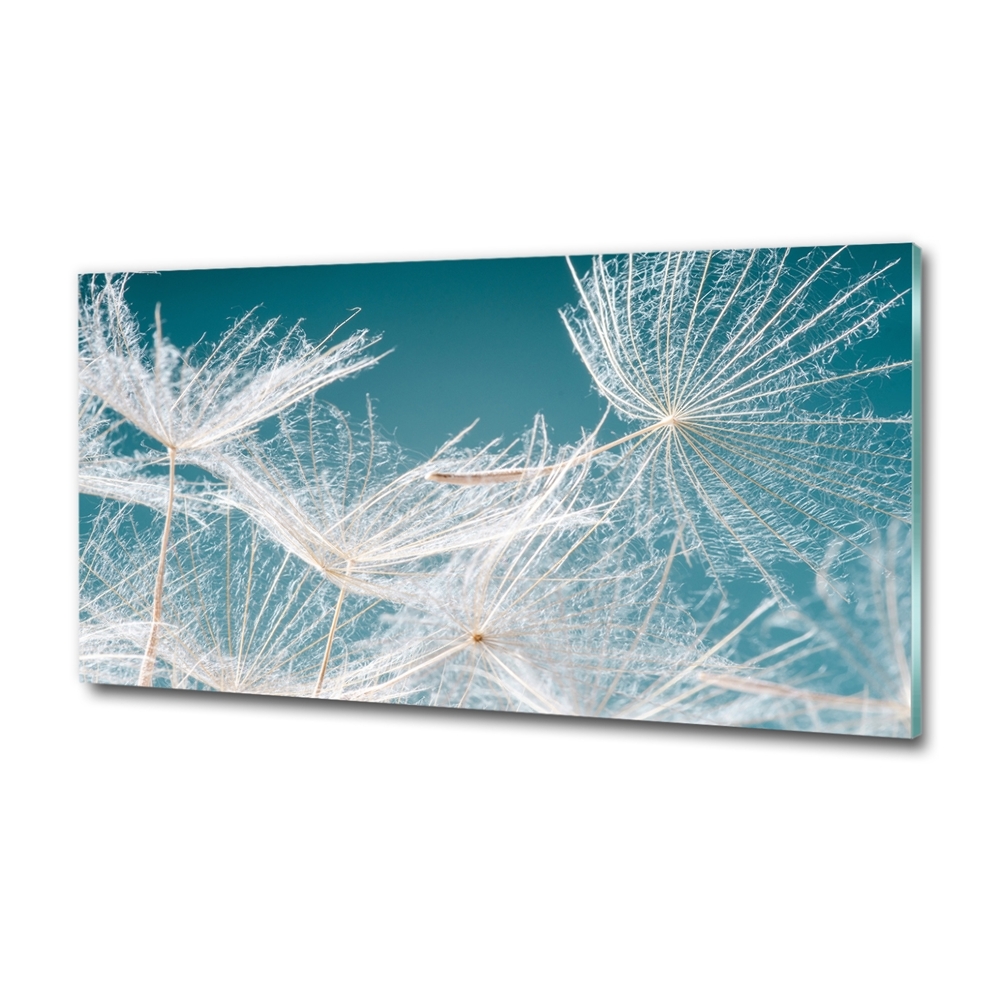 Wall art on glass Dandelion seeds