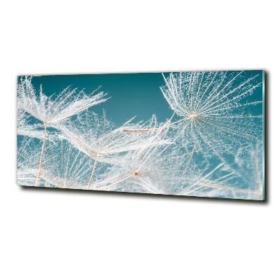 Wall art on glass Dandelion seeds