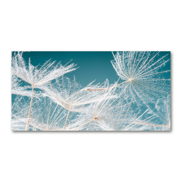 Wall art on glass Dandelion seeds