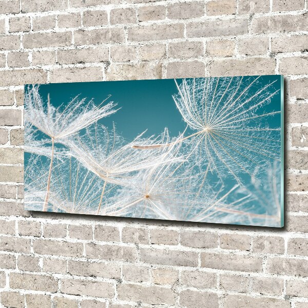 Wall art on glass Dandelion seeds