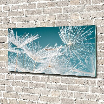 Wall art on glass Dandelion seeds