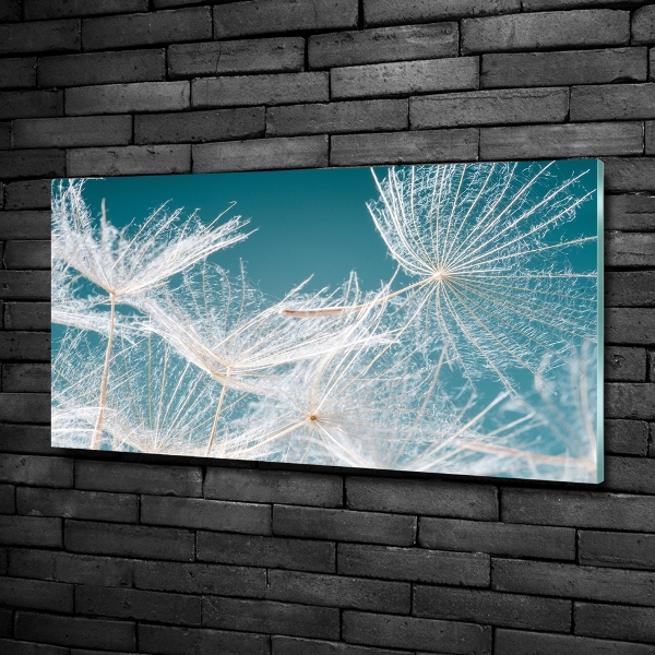 Wall art on glass Dandelion seeds