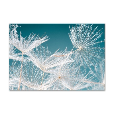 Wall art on glass Dandelion seeds