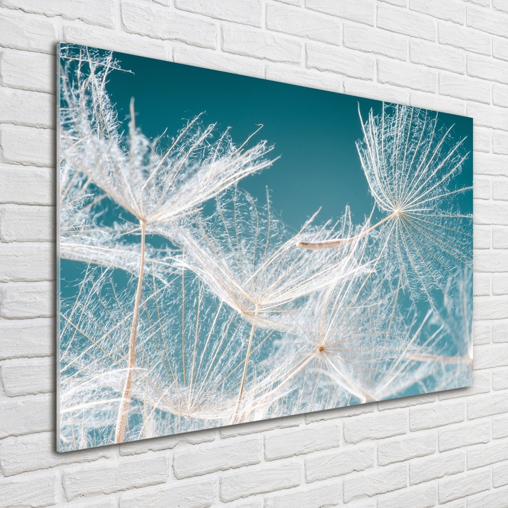 Wall art on glass Dandelion seeds