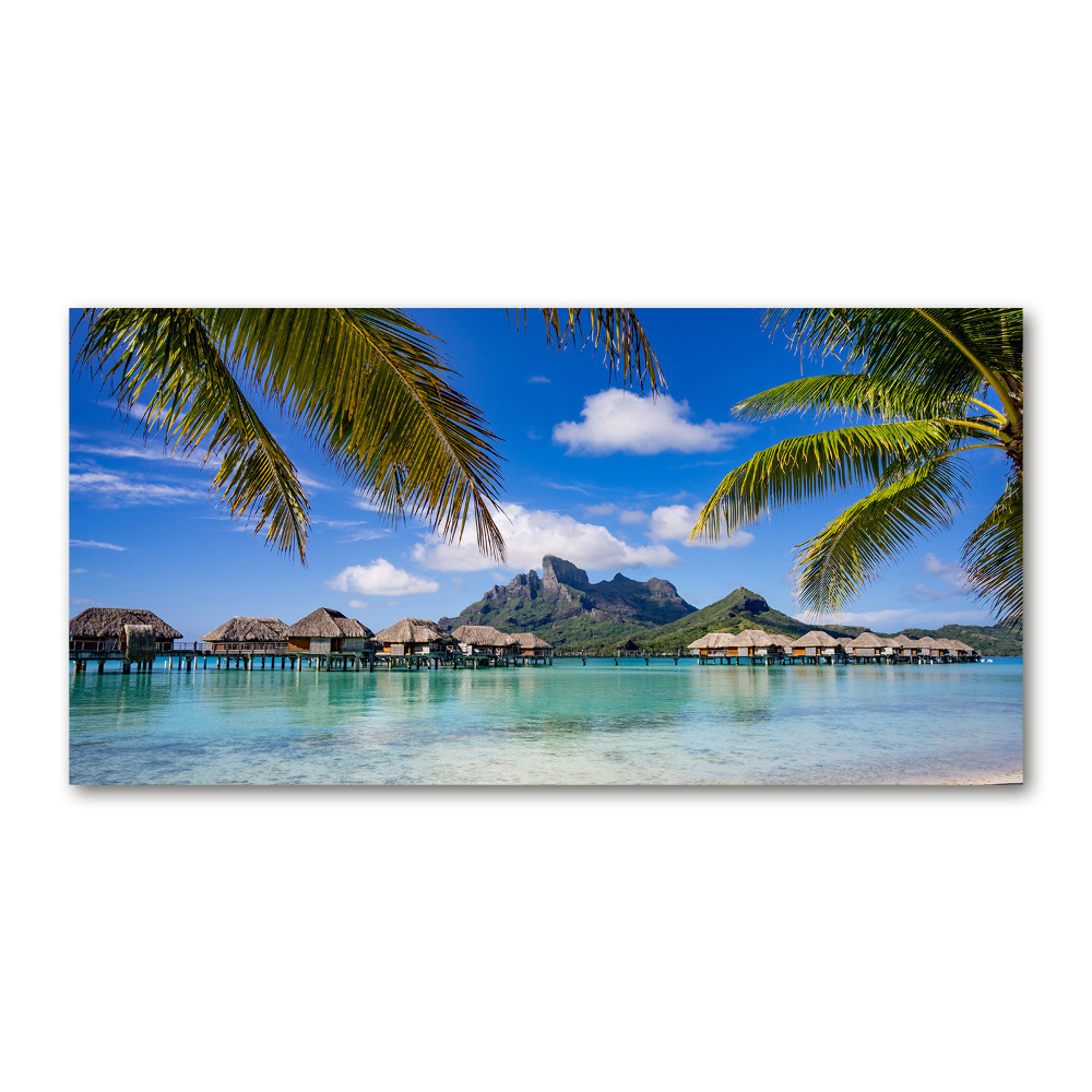 Glass art print Palms on bora bora